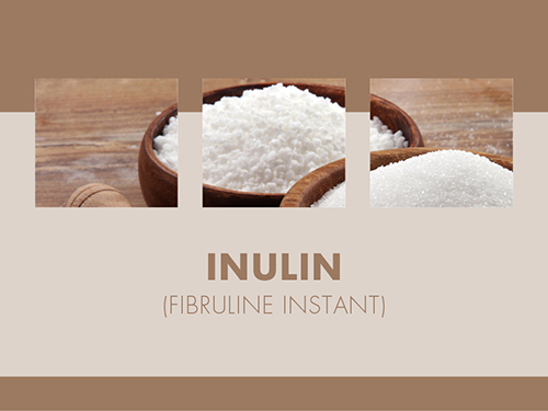 Inulin (Fibruline Instant) 5kg-Eimer 